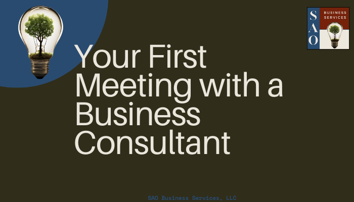 Demystifying the First Meeting: Your Guide to a Successful Start with a Business Consultant