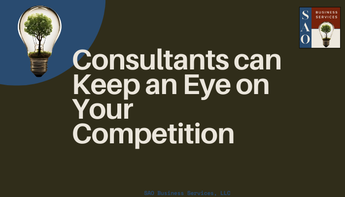 Your Eyes on the Competition: How a Consultant Can Free Up Your Time and Give You a Strategic Edge