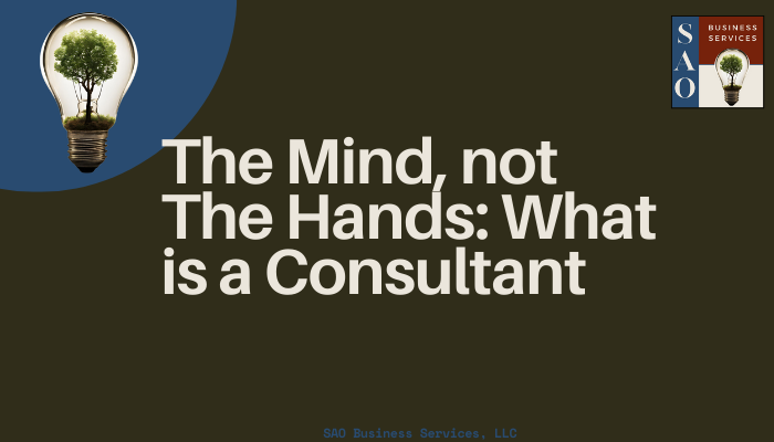 What is the Role of a Consultant?